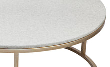 Load image into Gallery viewer, Macey 2pc Coffee Table – 2 Colour Options