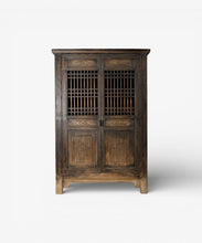 Load image into Gallery viewer, Swanston 2 Door Cabinet

