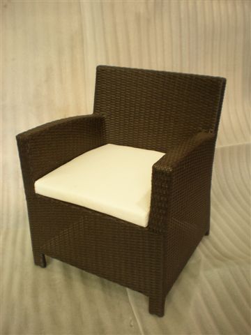 Wicker Chair with Cushion